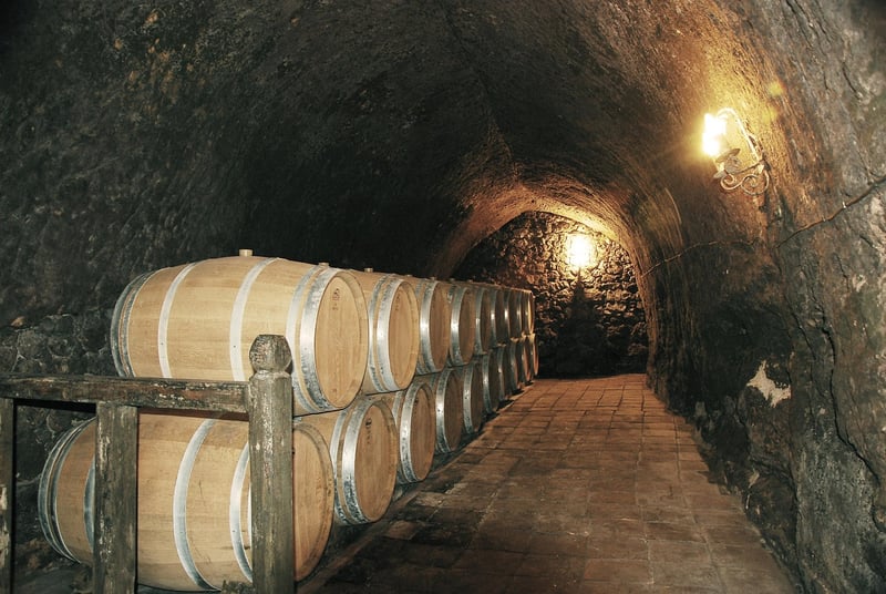 Napa Valley Vineyard